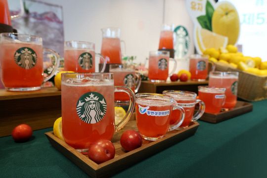 스타벅스 코리아 제공